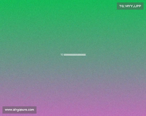 10 款最佳漂移车：掌握漂移艺术的最佳选择