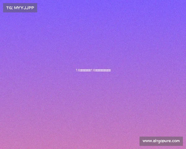 1.6自动中配宝来与1.6自动中配明锐选哪个？